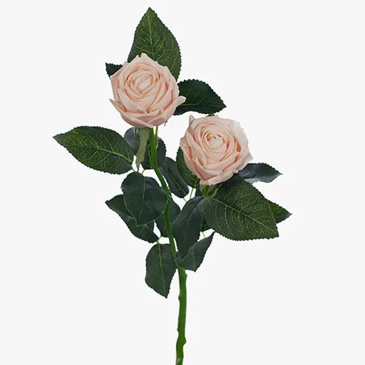 Rose Ariel Spray Soft Pink 38cml