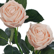 Rose Ariel Spray Soft Pink 38cml – thumbnail