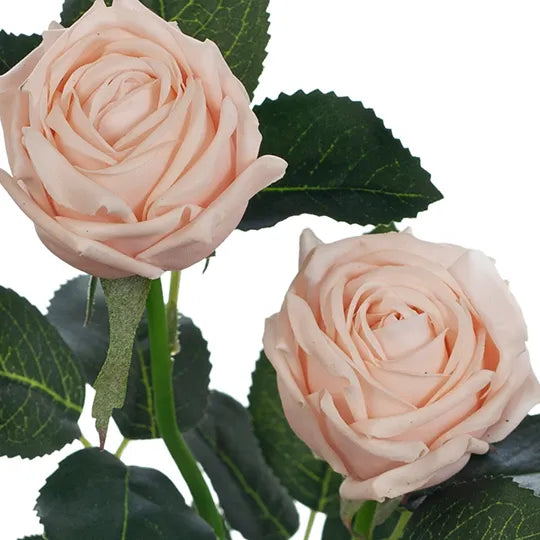 Rose Ariel Spray Soft Pink 38cml