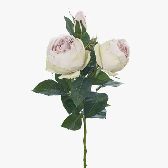 Rose Adele Spray Lavender Frost