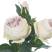 Rose Adele Spray Lavender Frost – thumbnail