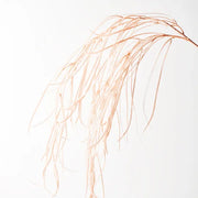 Grass Weeping Spray Light Pink 112cml – thumbnail
