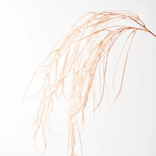 Grass Weeping Spray Light Pink 112cml