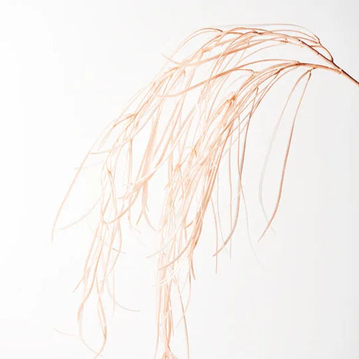 Grass Weeping Spray Light Pink 112cml