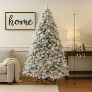 Frosted Colonial Christmas Tree 7.5ft with snow-dusted branches and full lush shape, ideal for indoor holiday decoration
