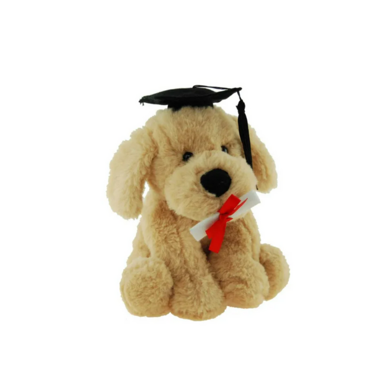 Graduation dog Buddy 18cm plush toy with cap