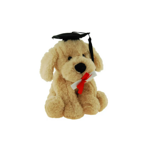 Graduation dog Buddy 18cm plush toy with cap