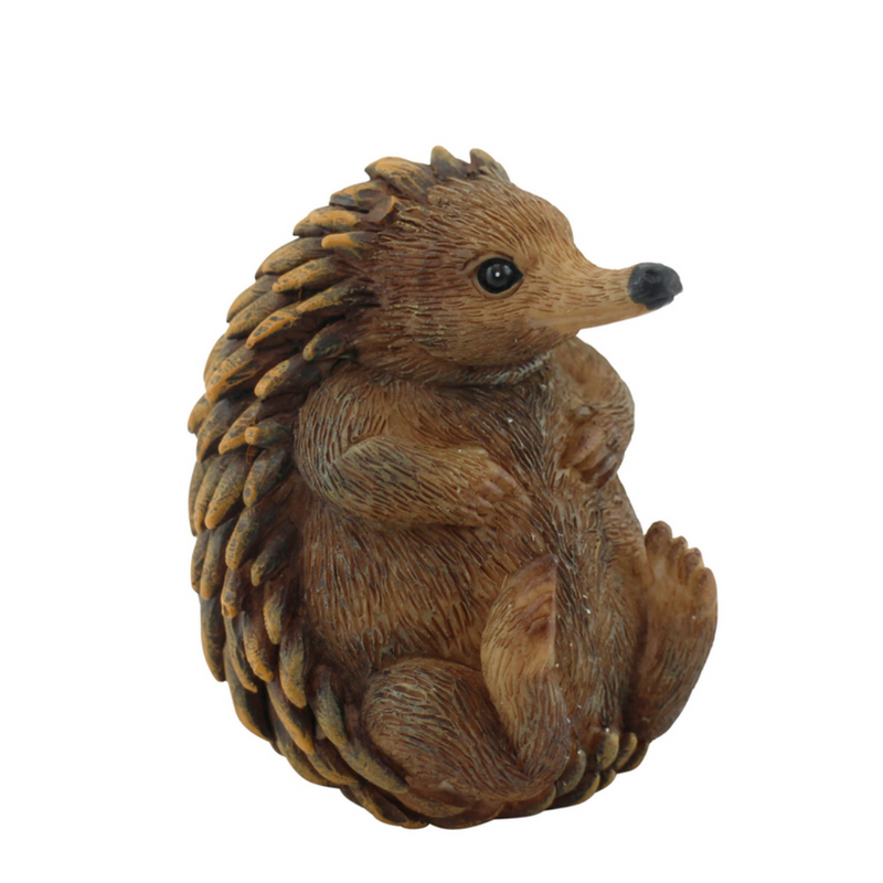 Native Echidna 6.5x5.5x7cm