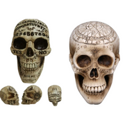 Ouija Skull 18cm 2 Asstd