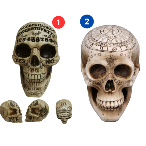 Ouija Skull 18cm 2 Asstd