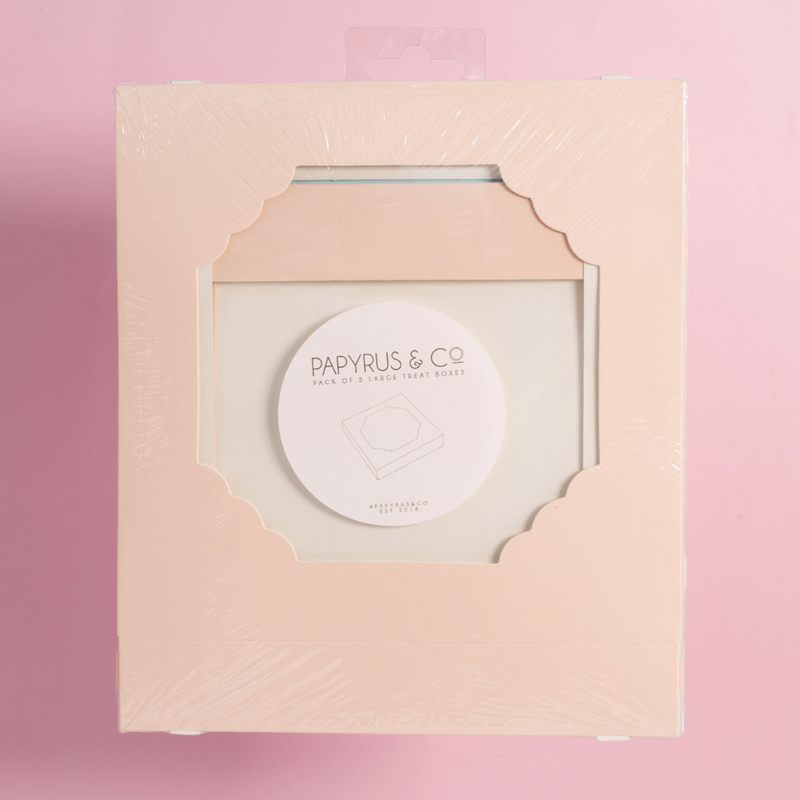 Papyrus Large Treat Box Pack Of 5 Pastel Pink
