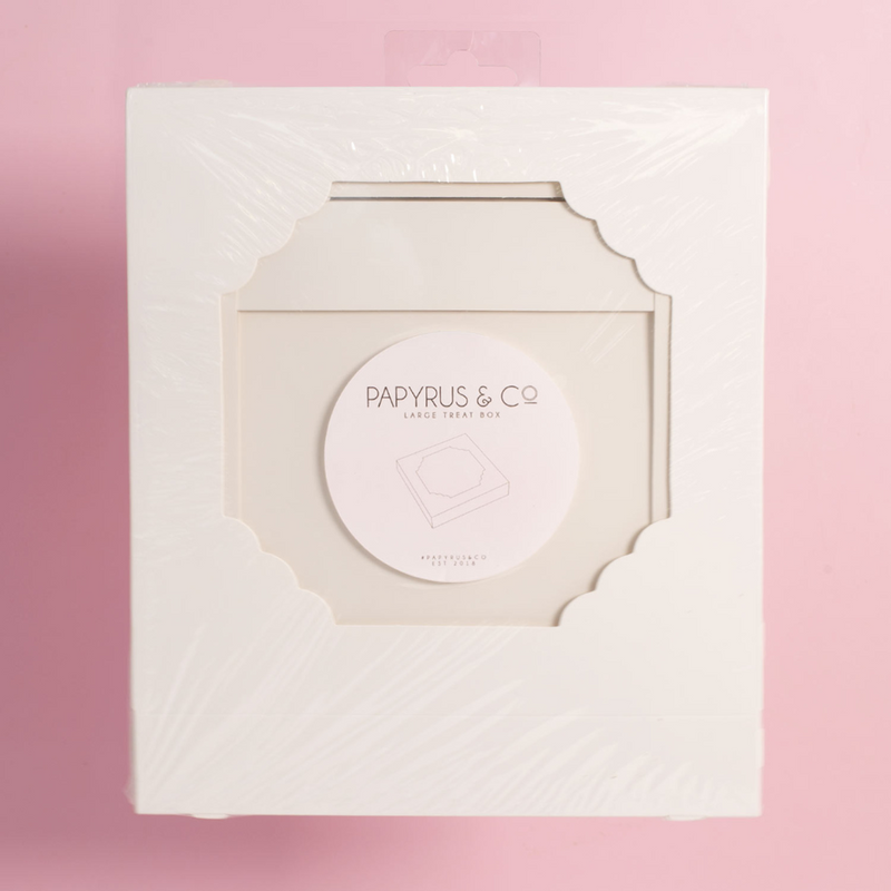 Papyrus Large Treat Box Pack Of 5 - White