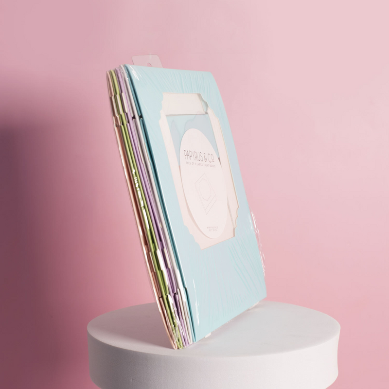 Papyrus Medium Treat Box Pack Of 5 - Mixed