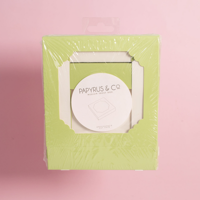 Papyrus Medium Treat Box Pack Of 5 - Pastel Green
