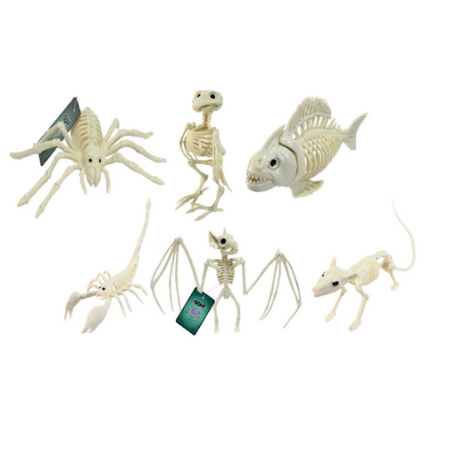Skeleton Creatures 6 Asstd