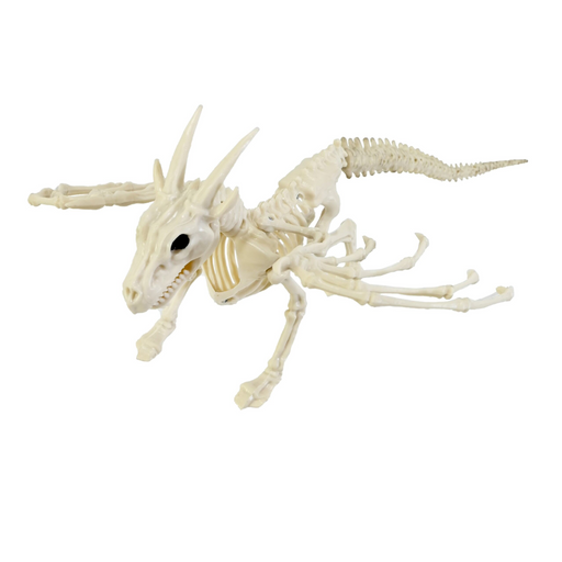 Skeleton Dragon 35cm