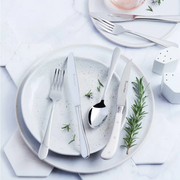 SR ALBANY ICED TEA SPOON