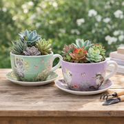 Two teacups repurposed as planters with succulents on a wooden surface. – thumbnail