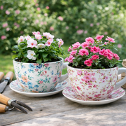 Two floral teacups repurposed as planters with flowers on a wooden surface. – thumbnail