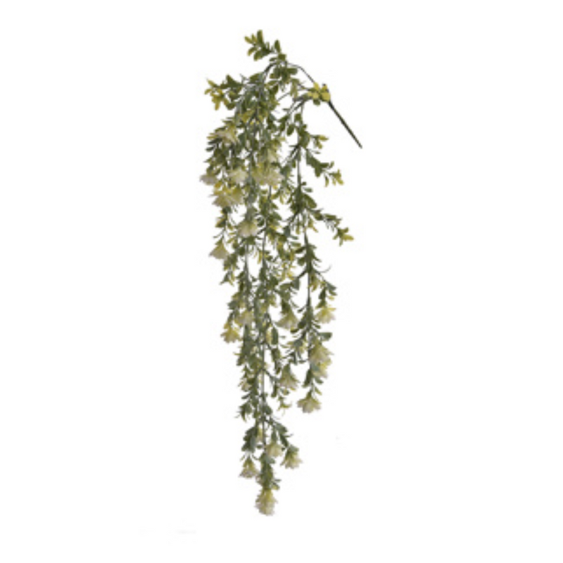 Wattle Hanging Bush Cream 82cml
