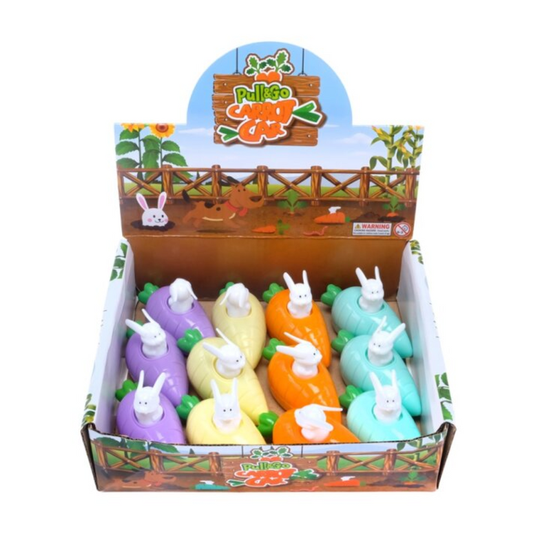 Wind Back Pull Go Carrot Car 