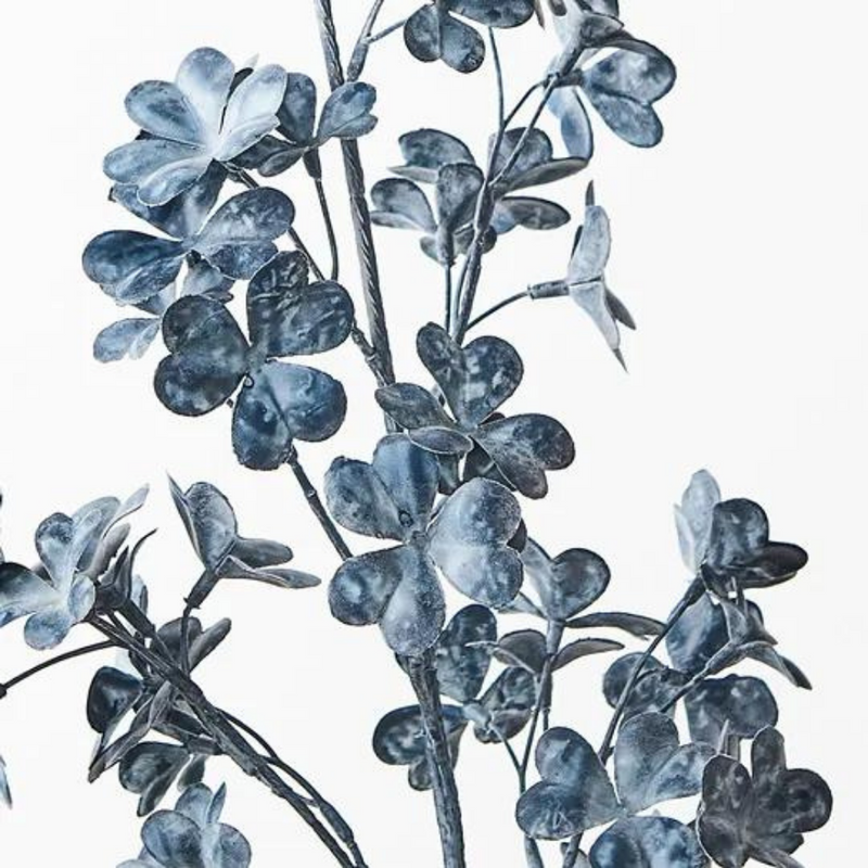 Clover Spray Fog 76cml