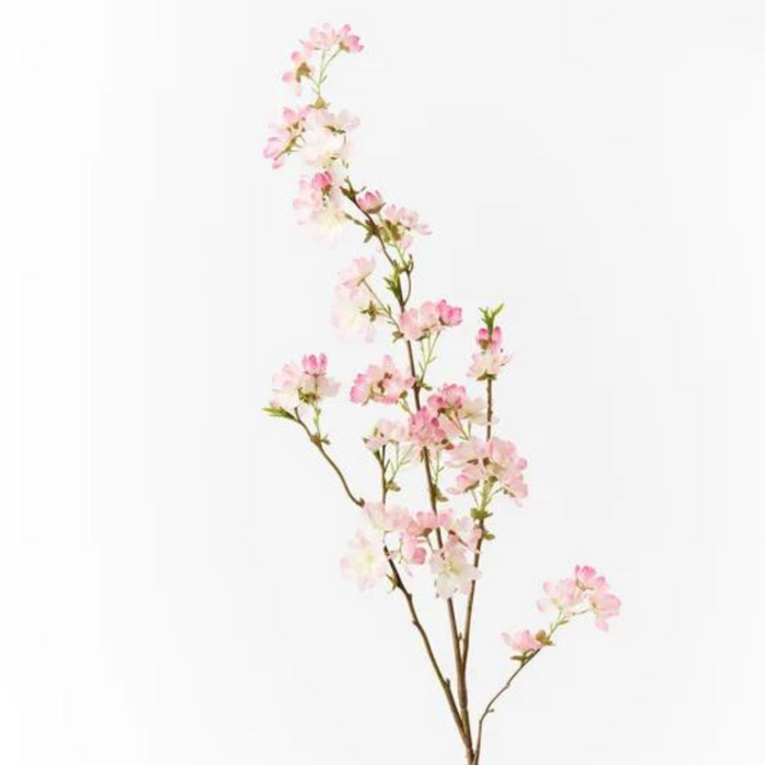 Blossom Cherry Cream Pink 99cml