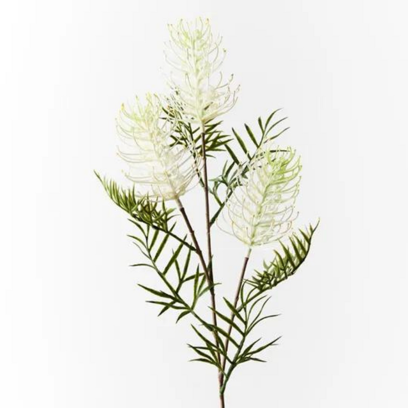 Grevillea Spray White 84cml