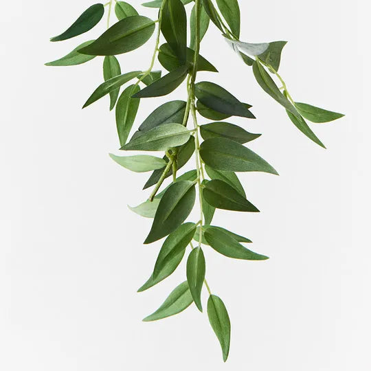 Ruscus Italian Garland Grey Green 183cml
