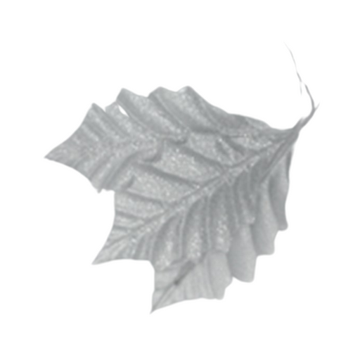 Silver Leaves 20pk