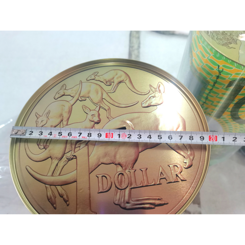 Money Tin Aussie Designs 20x34.5cm