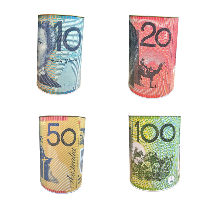 Money Tin Aussie Designs 12x16cm
