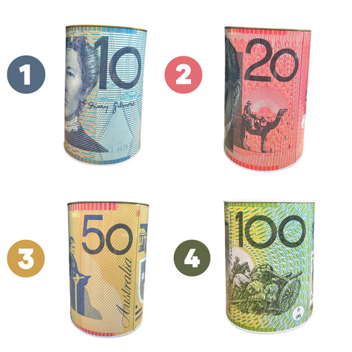 Money Tin Aussie Designs 12x16cm