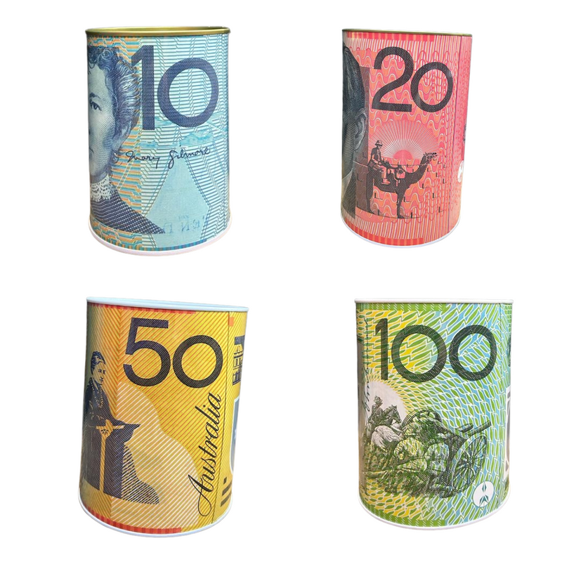 Money Tin Aussie Designs 8.5x11.5cm