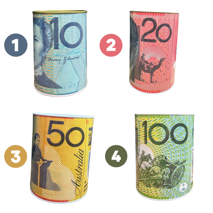 Money Tin Aussie Designs 8.5x11.5cm