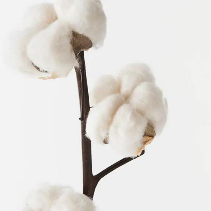 Cotton Spray Natural 90cml