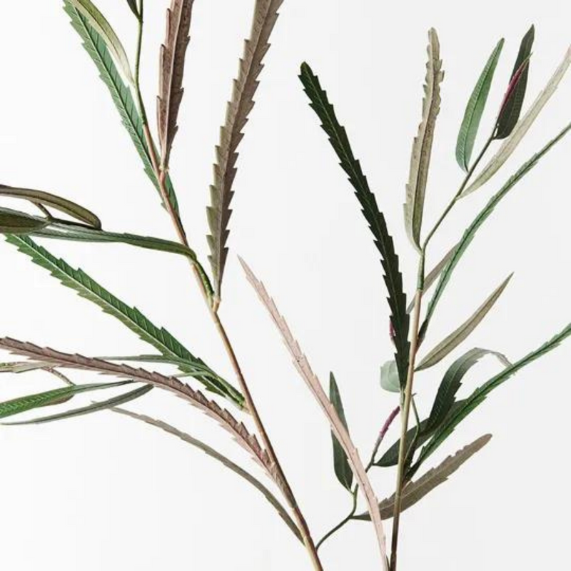 Banksia Leaf Spray Green (106cml)