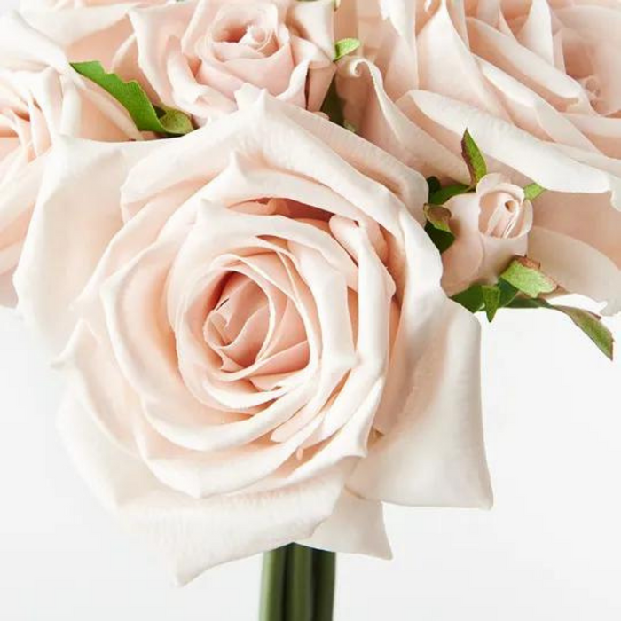 FLOWER DISPLAY Rose Hilda Bouquet Soft Pink (20cml)