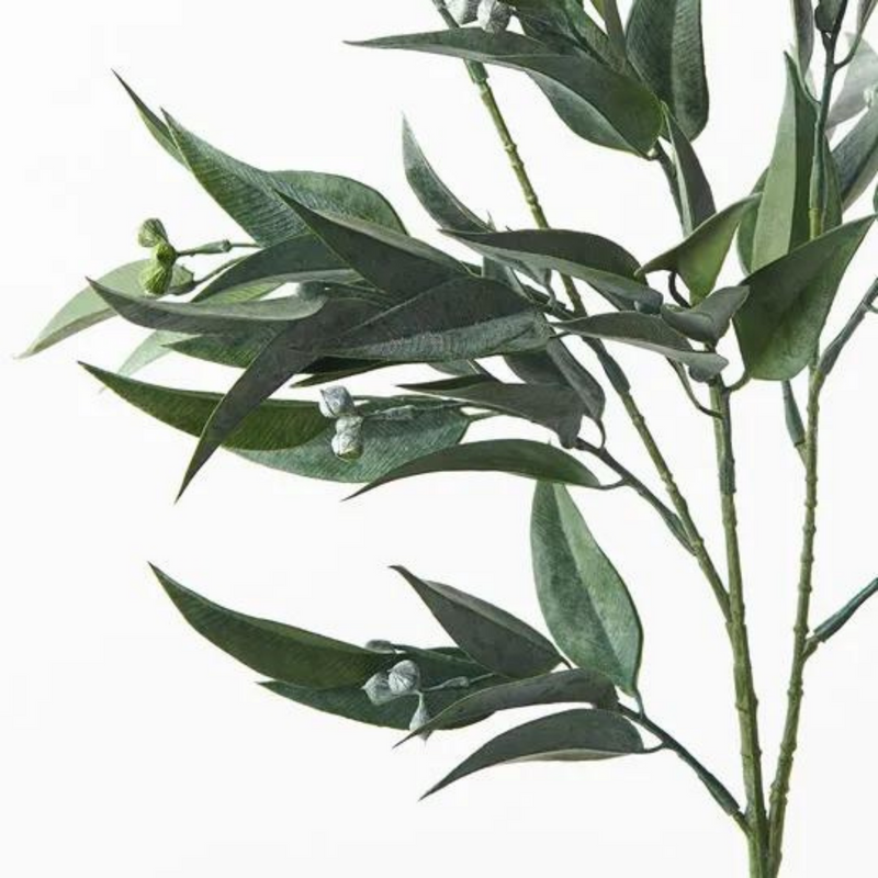 Eucalyptus Seed Pod Spray Grey Green 74cml