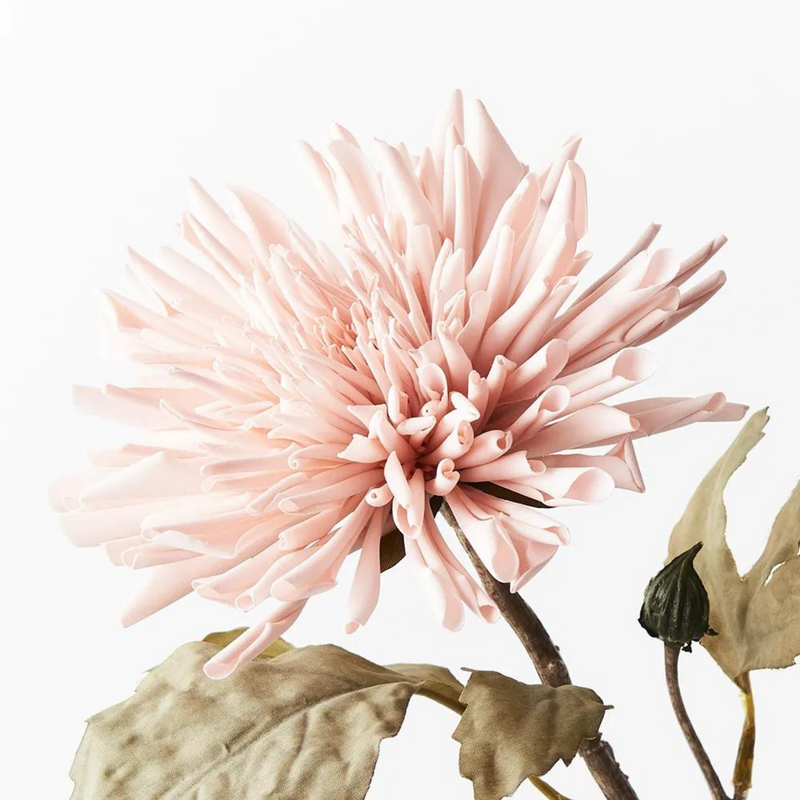 Dahlia Celeste Light Pink 61cml