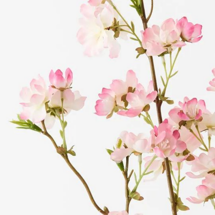 Blossom Cherry Cream Pink 99cml