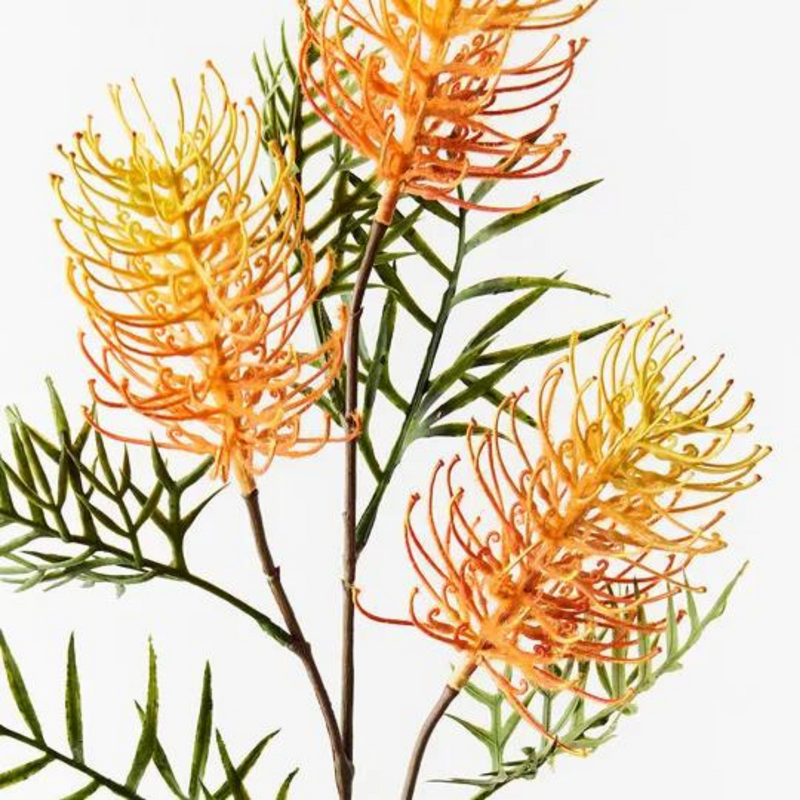 Grevillea Spray Orange Yellow 84cml