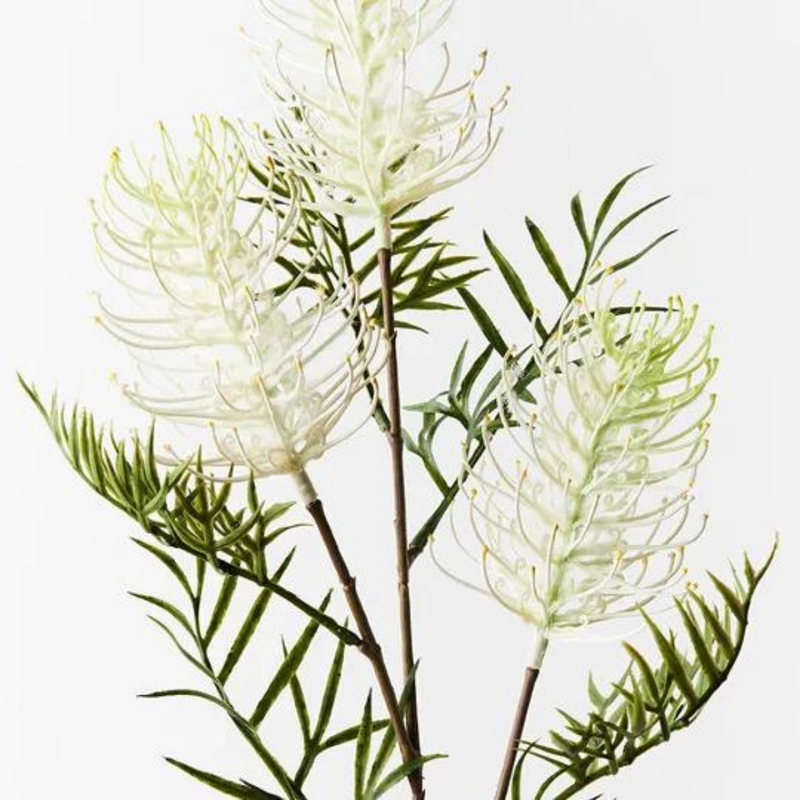 Grevillea Spray White 84cml