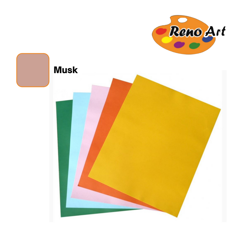 Cardboard 635x51cm Musk