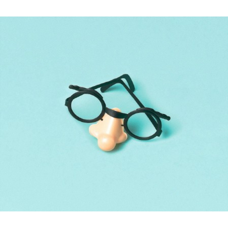 Value Pack Favor Funny Glasses 10pk