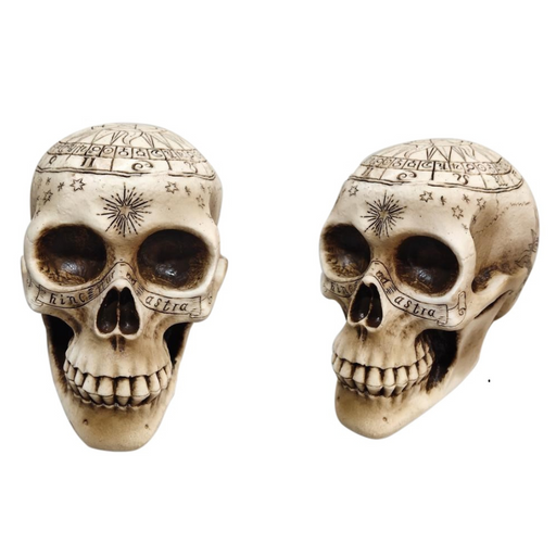 Ornate Carved Skull 14cm
