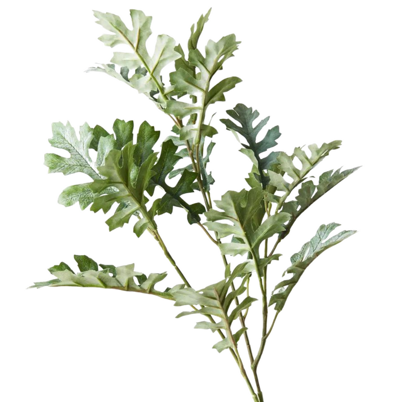 Dusty Miller Spray Grey Green 66cml