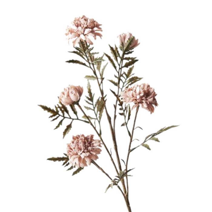Chrysanthemum Celeste Spray Dusty Pink 61cml
