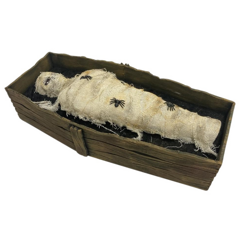 Light Up Mummy In Coffin 45cm