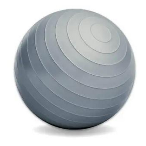 Exercise Gym Ball Grey 75cm